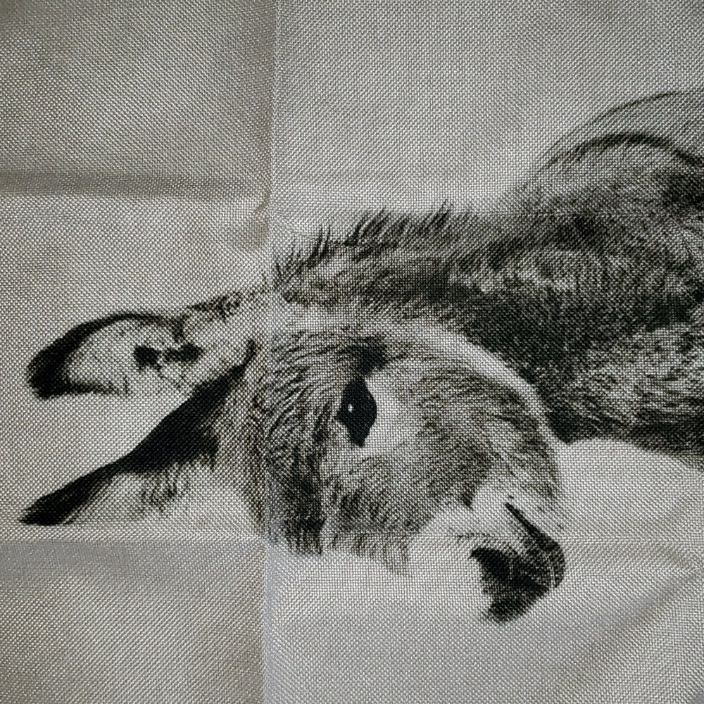 Donkey Pillow Cover Donkey Pillow Case Donkey Cushion Cover Burro Burrito - Picture 10 of 11